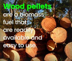 Wood pellets are a biomass fuel