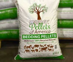 Equine pine litter top