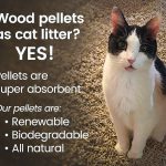 can-you-use-wood-pellets-for-cat-litter
