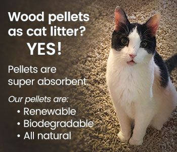 cat wood pellets