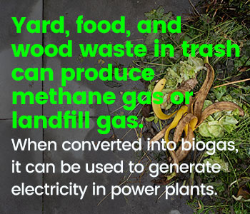 what is biomass.jpg