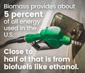 wood pellets and biomass.jpg