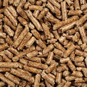 What are pellets?